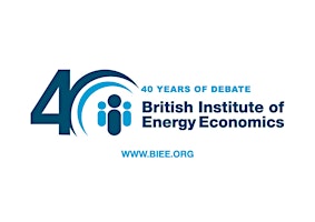 Imagem principal do evento BIEE Future of Energy Lecture 2024 - Adair Turner