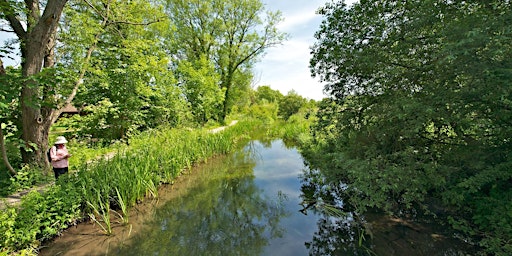 A walk through the private part of Winnall Moors