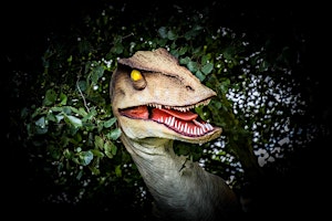 Immagine principale di Am I a Dinosaur? Egg Hunt & Fossil Dig 