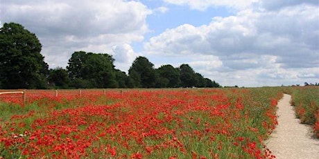 A tour of Magdalen Hill Down