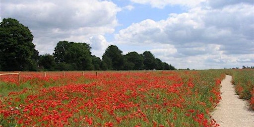 A tour of Magdalen Hill Down primary image