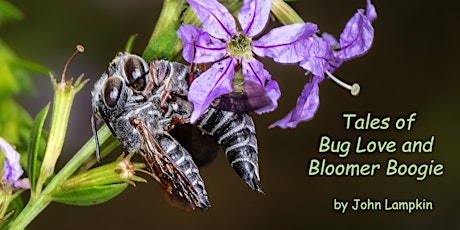 Budding Romances! Tales of Bug Love and Bloomer Boogie primary image