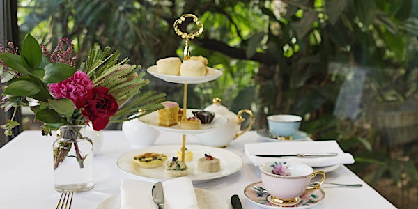 High Tea (Afternoon Sitting) at Melbourne Zoo