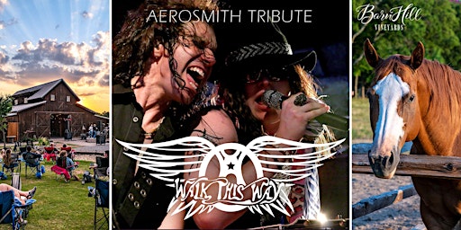 Imagem principal do evento Aerosmith covered by Walk This Way/ Texas wine / Anna, TX