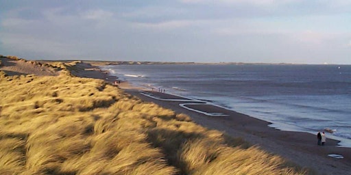 Imagem principal de Druridge Bay - Reconnection Walk