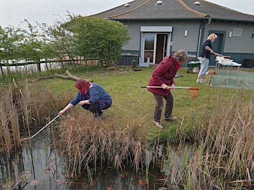 Abberton Pond Life Course for Adults  primärbild