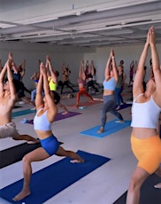 In-Person MLC Saturday Ritual: Ashtanga Yoga Led Full Primary Series Class