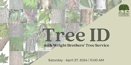 Tree ID with Wright Brothers' Tree Service  primärbild