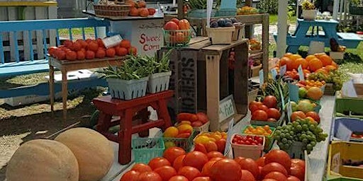 Imagen principal de A Taste of Summer Farm Market Grand Opening Event