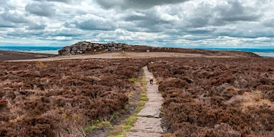 Imagem principal do evento Simonside Hills - Reconnection Walk