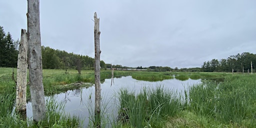 Primaire afbeelding van Wetland Information Session Parkland County