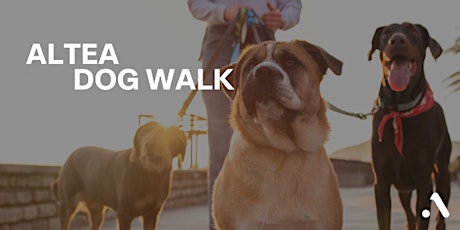 Altea Dog Walk  primärbild