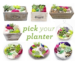 Imagem principal do evento Plant Nite: Make a Succulent Terrarium