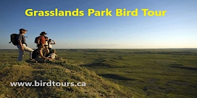 Immagine principale di Grasslands National Park 3-day Birding Tour 