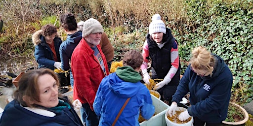 Mushroom Cultivation primary image