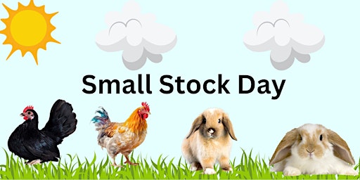 Image principale de Small Stock Day