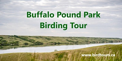 Buffalo Pound Park Birding Tour primary image