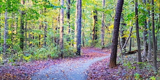 Imagem principal de Early Spring Tree and Understory ID Walk in Simpson Park