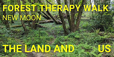 Land, Sea and Sky - Forest Therapy Walk on the New Moon