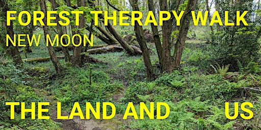 Imagem principal do evento Land, Sea and Sky - Forest Therapy Walk on the New Moon