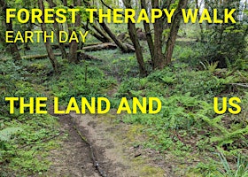 Imagem principal de Land, Sea and Sky - Forest Therapy Walk on Earth Day