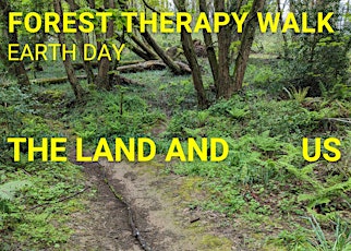 Land, Sea and Sky - Forest Therapy Walk on Earth Day