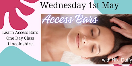 Access Consciousness Bars Learn In One Day: Fun & Practitioner Certificate