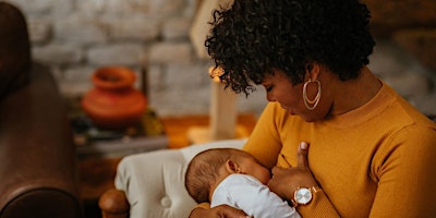Imagen principal de Breastfeeding Adventures: Truths, Transitions and Joys