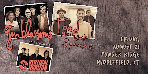 Image principale de Gin Blossoms / Toad the Wet Sprocket