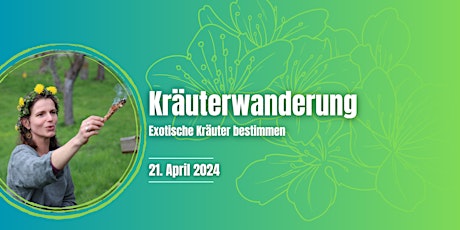 Die Magie der wilden Kräuter  - Kräuterwanderung