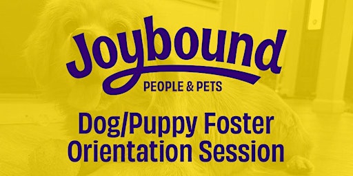 Imagen principal de Joybound Online Dog Foster Orientation 4/3/24 @ 6PM