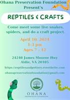 Primaire afbeelding van Reptiles and Crafts
