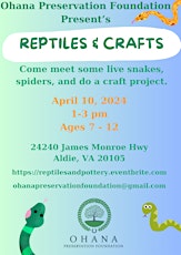 Reptiles and Crafts