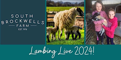 Imagem principal do evento Lambing Live 2024