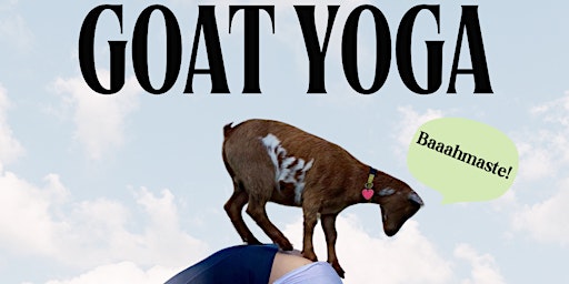 AERIAL GOAT YOGA primary image