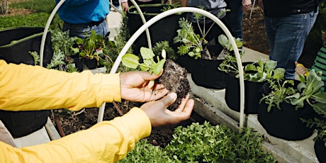 Grow Green Waste Warriors: Composting for Youth