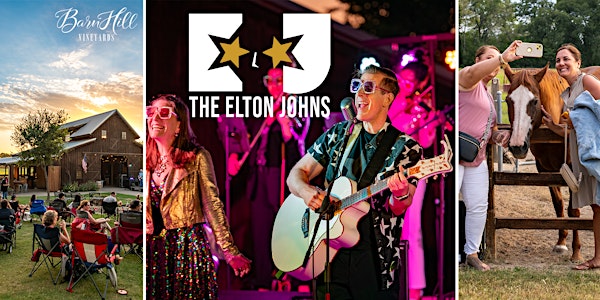 Elton John covered by The Elton Johns / Texas wine / Anna, TX