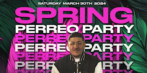 Imagen principal de SPRING BREAK PERREO PARTY 18+ AT EL  EFFECTO NIGHT CLUB