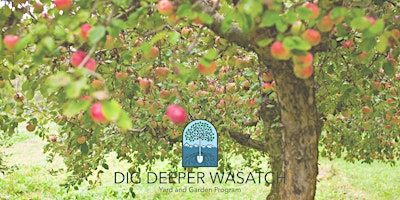 Imagem principal do evento Dig Deeper Wasatch: Apple Tree Grafting Workshop - Elective