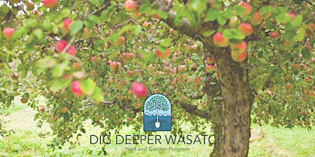 Dig Deeper Wasatch: Apple Tree Grafting Workshop - Elective