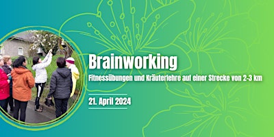 Primaire afbeelding van Brainworking - Geführte Wanderung