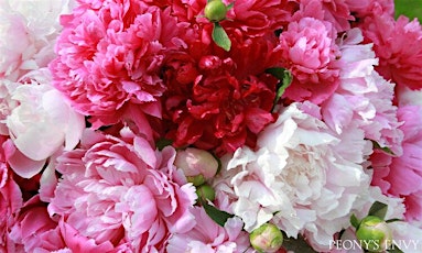 Peony Envy Lecture