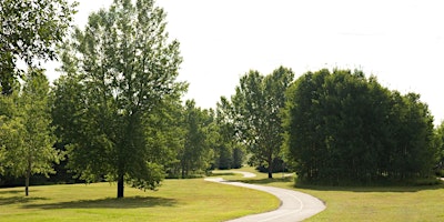 Imagem principal de YYC Trees: North Glenmore Park Tree Tour - Guided Walk