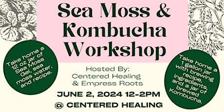 Sea Moss an Kombucha Hands on Workshop