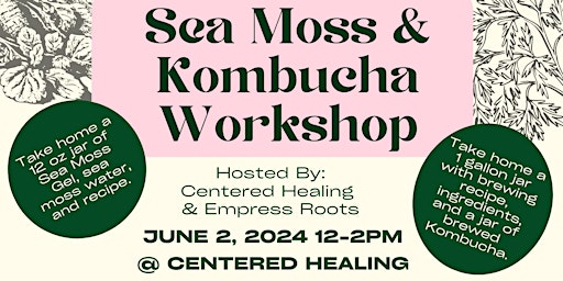 Sea Moss an Kombucha Hands on Workshop  primärbild