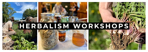 Collection image for Herbalism Workshops