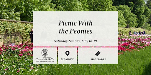 Imagem principal do evento Picnic With the Peonies