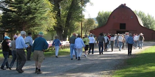 Primaire afbeelding van Old West Days Ranch Tour