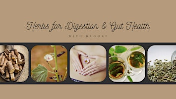 Herbs for Digestion and Gut Health Class primary image