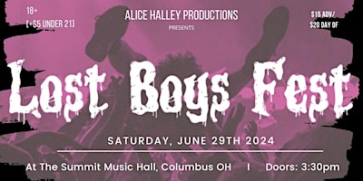Primaire afbeelding van LOST BOYS FEST 2024 at The Summit Music Hall - Saturday June 29